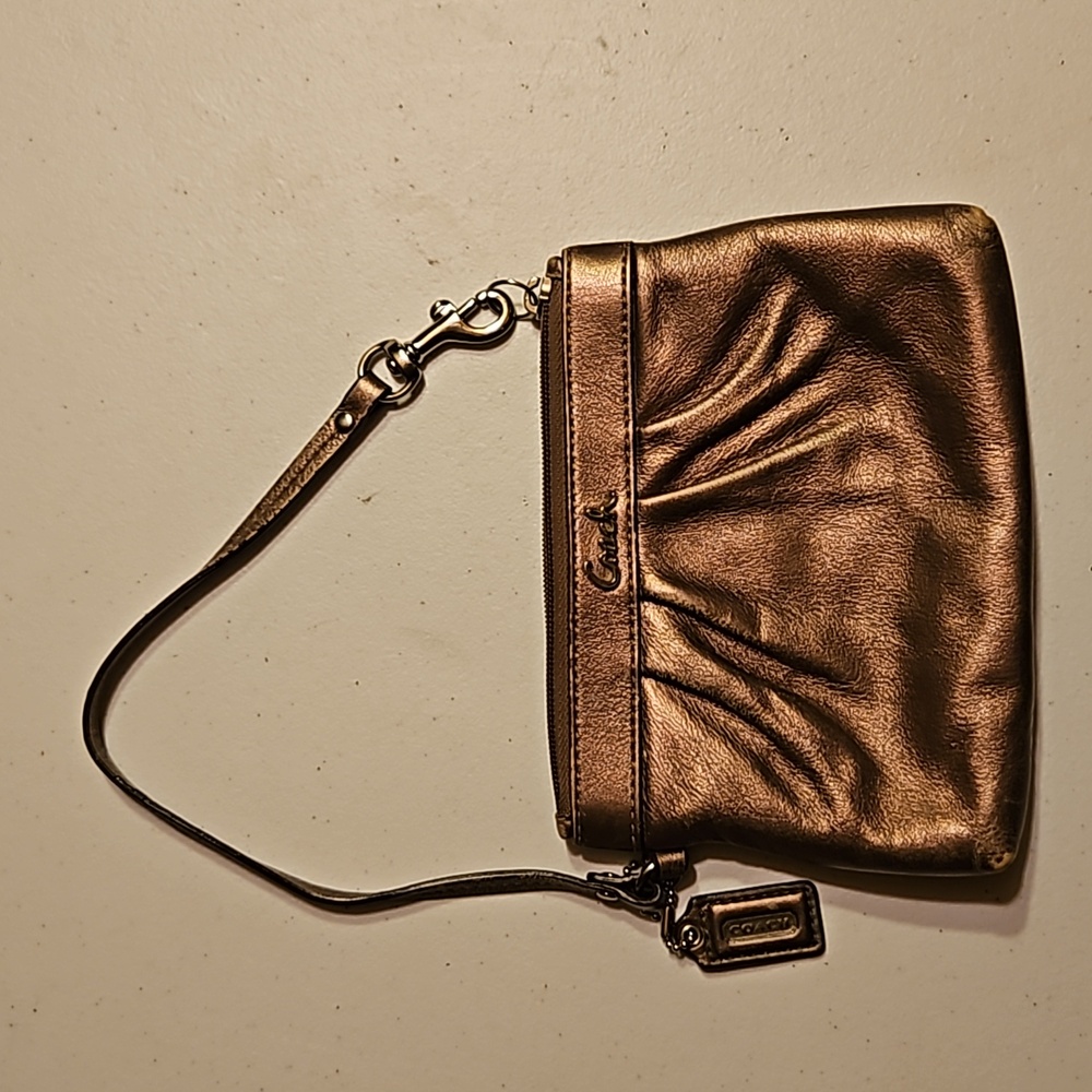 Coach Script Logo Wristlet Bag